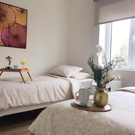 Lujoso En Apartamento *